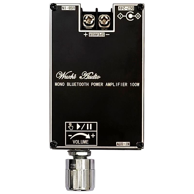 Home Cinema Hall - 블루투스 5.1 TPA3116 D2 모노 100W