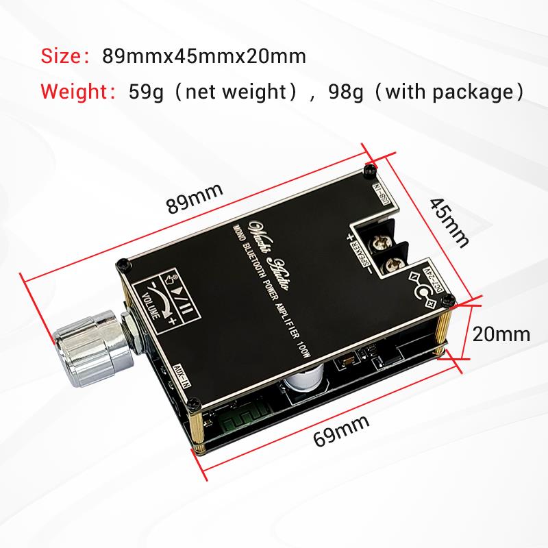 블루투스 5.1 TPA3116 D2 모노 100W Bt - Home Cinema Hall 리뷰 및 가격