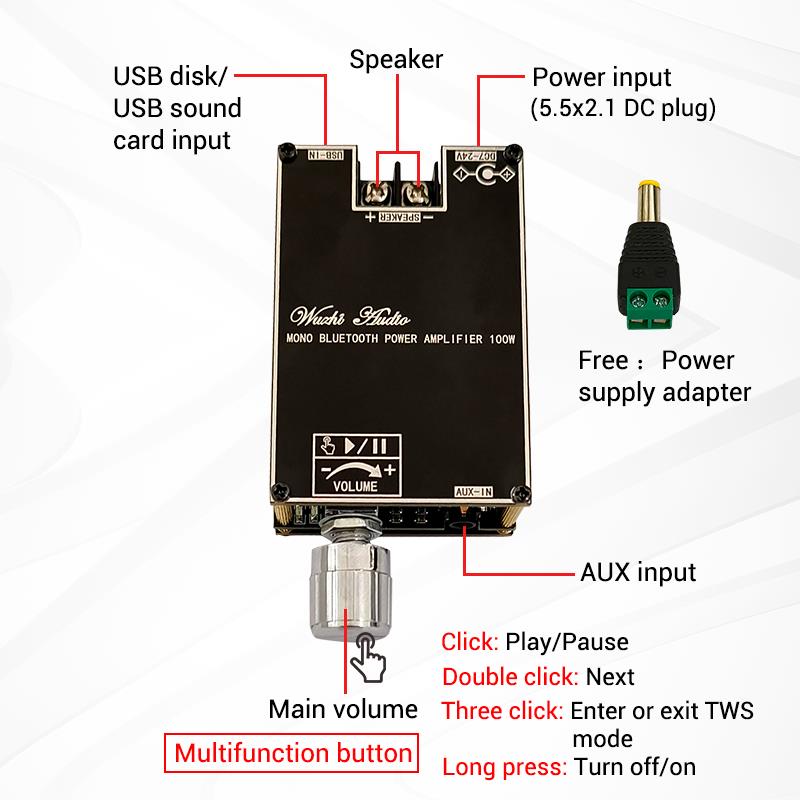 블루투스 5.1 TPA3116 D2 모노 100W Bt - Home Cinema Hall 리뷰 및 가격