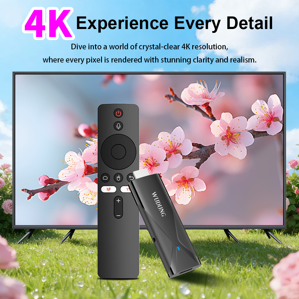WD08 PRO TV 동글 안드로이드10 올위너 H31 - Home Cinema Media Player 리뷰 및 가격